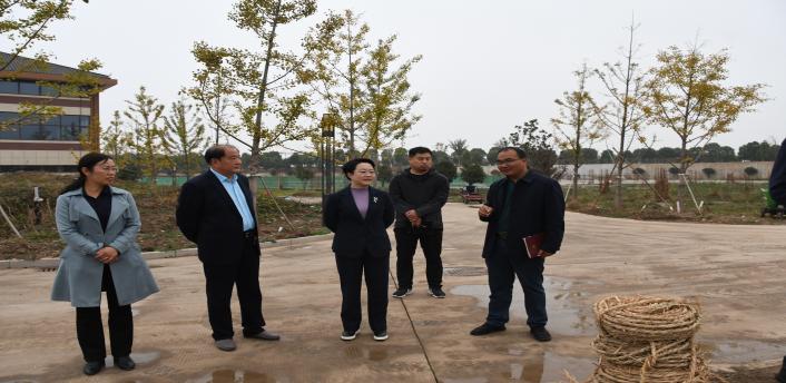 胡林娜调研文旅项目建设和发展工作