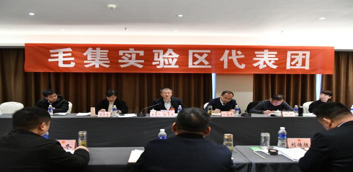 毛集实验区代表团审议市人大常委会及法检两院工作报告